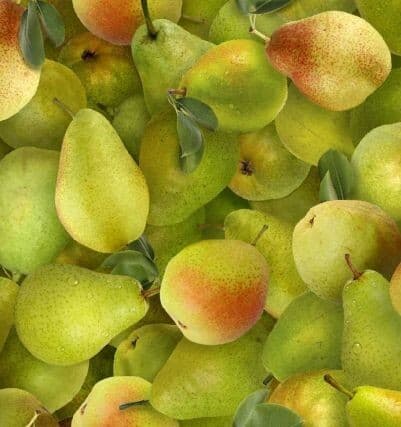 Puuvillakangas 112cm, PÄÄRYNÄT